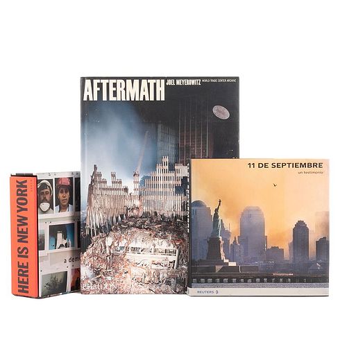 Libros sobre Torres Gemelas. 11 de Septiembre, un Testimonio / Aftermath / Here is New York a democracy of photographs. Piezas: 3.