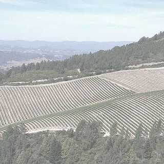 Mongerard Mugneret   Echezeaux Vieilles Vignes   1990