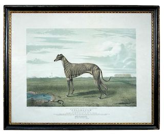 James Armstrong (British, 19th Century) The celebrated champion greyhound "Fullerton", the property