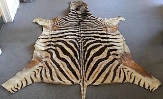 A zebra skin rug, the pelt removed from head to tail, the soft leather back with some patching 300 x