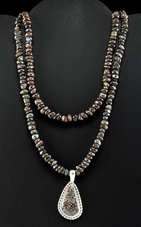 Wearable Dinosaur Bone Necklace w/ Silver Pendant