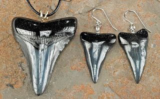 Fossilized Shark Teeth Pendant +  Earrings Set