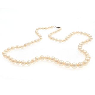 Graduated Cultured Pearl, 14k Necklace