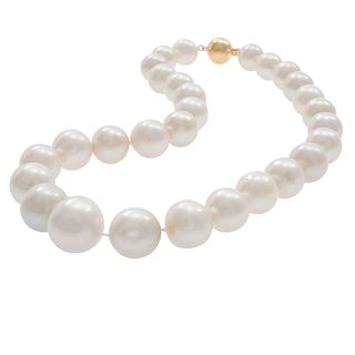 Cultured South Sea Pearl, 14k Yellow Gold Necklace