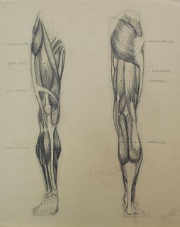 Bo Bartlett - Untitled Anatomy Study I