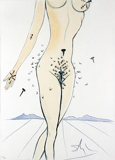 Salvador Dali - Ants Nails & Flies on Nude