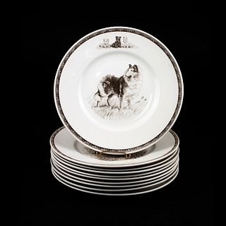 (10) Wedgwood American Sporting Dog Collectors Plates