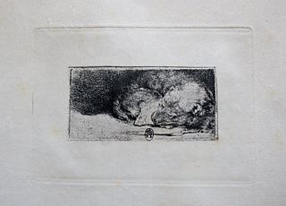 Rembrandt van Rijn (after) - Sleeping Puppy