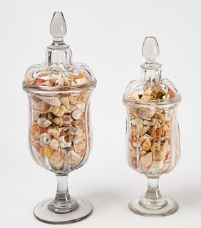 Two Glass Apothecary Jars with Shell Collection
