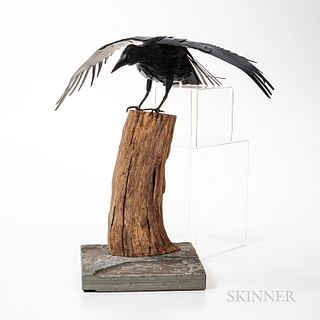 Tom Mikulka (American, 21st Century) Crow Sculpture and Stand