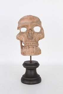 19th C. Terra Cotta Memento Mori Skull