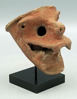 Nicoya Head Fragment - Costa Rica