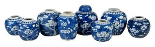 Eight Chinese Blue and White Prunus Blossom Ginger Jars