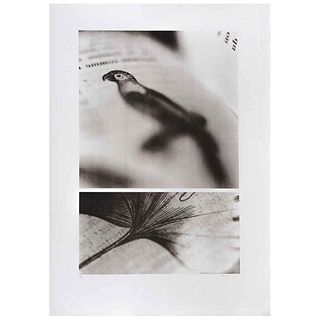 PATRICIA LAGARDE, Untitled, 2009, Signed, Lithography P / I, 23.4 x 15.5" (59.5 x 39.5 cm) image / 30.5 x 21.4" (77.5 x 54.5 cm) paper, Stamp | PATRIC