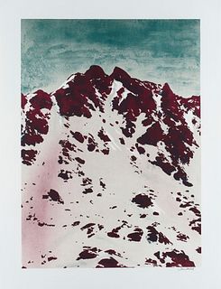 Drühl, Sven S.D.C.G.T. 2019. Farblithographie auf cremefarbenem BFK Rives. 55,4 x 40 cm (65,5 x 50,5 cm). Signiert. Unter Glas hochwertig gerahmt (ung