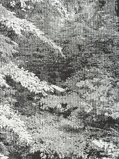 Yuasa, Katsutoshi Snapshot (Forest). 2008. Holzschnitt auf Papier. 80,6 x 59,8 cm (80,6 x 59,8 cm cm). Verso monogrammiert. Dort zusätzlich mit weiter