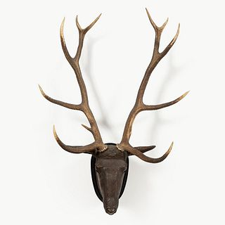 BLACK FOREST-STYLE STAG HEAD WITH NATURAL ANTLERS