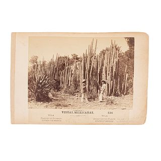 Briquet, Abel. Vistas Mexicanas. Tula. Fines del Siglo XIX. Fotografías álbumina., montadas en un cartón