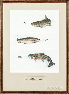 Group of Five Colored Etchings of Fish