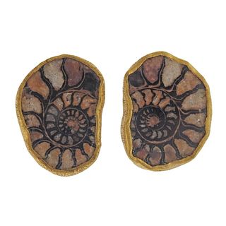 18k Gold Shell Fossil Earrings
