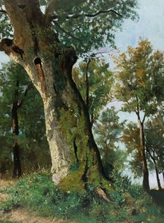 French School, Study of a Tree