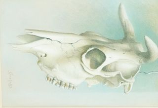 Werner Groshans, Cattle Skull