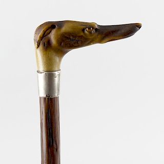 A Victorian horn-handled novelty walking stick or cane. Modelled as the head of a greyhound or whipp