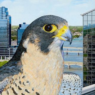 Falcon Painting