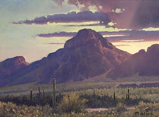 Michael Stack | b. 1947 Master AOA | Sonoran Desert Morning