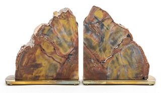 Modern Polished Petrified Wood Bookends, Pair
