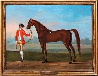 18th Century English Horse "Wilson's Arabian" by Thomas
