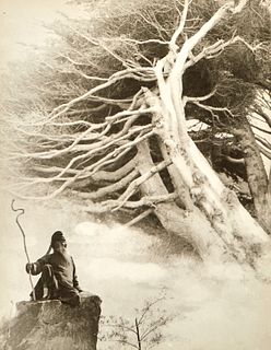 Chin San Long Photograph Zhang Daqian Cypress Trees