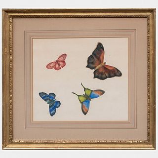 European School: Butterflies: Seven Works