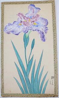 Gouache on Rice Paper, Portrait of an Iris