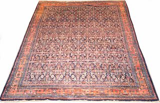 Bibikabad Carpet