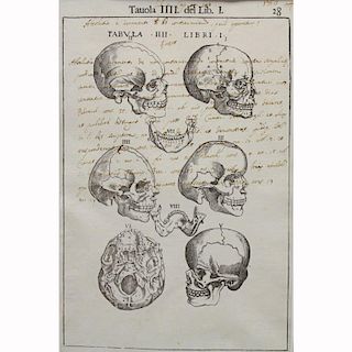 (4) 17th C. Manuscripts  "Skeletons"