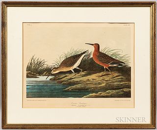 Framed John James Audubon and a Williamsburg Series Print