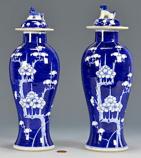 Pr. Chinese Porcelain Baluster Vases, Hawthorne Pattern