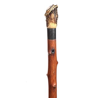 Early American Stag Cane