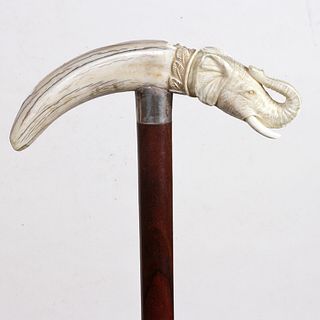Elephant Pig ivory Cane