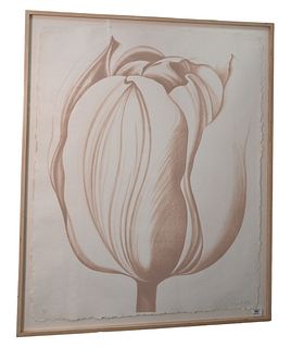 Lowell Nesbitt (American, 1933-1993), Tulip: Sandstone, 1976, lithograph in colors on paper, signed, dated, and editioned 98/100 in pencil along the l
