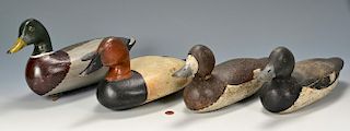 4 Carved & Painted Duck Decoys, 2 signed