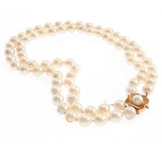 Double Strand Cultured Pearl, 14k Necklace