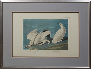 John James Audubon (1785-1851), "American Ptarmigan and White Tailed Grous," No. 84, Plate 418, Amsterdam edition, presented in a wide greenish gilt f