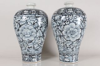 Collection of Chinese Blue and White Porcelain Fortune Vases