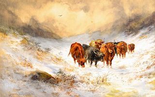 Stewart Forbes watercolor, Cattle in Snow