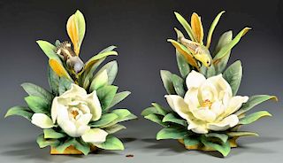 Pair Dorothy Doughty Magnolia Warblers