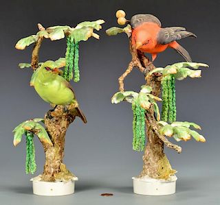 Pair Dorothy Doughty Scarlet Tanagers