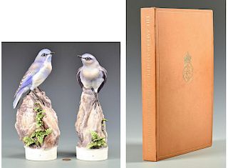 Pair Dorothy Doughty Mountain Bluebirds and Doughty bird book