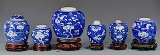 6 Chinese Porcelain Hawthorne Pattern Ginger Jars